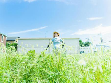 35:草むしりをする女性 35:草むしりをする女性の写真