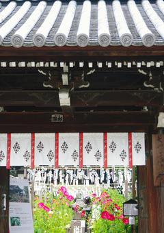 奈良県 おふさ観音 奈良県 おふさ観音 奈良,おふさ観音,風鈴寺の写真素材