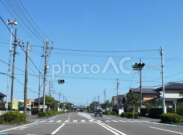 スッキリした青空と街路樹の美しい町 街路樹,美しい,空の写真素材