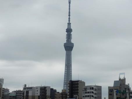曇天のスカイツリー 曇天のスカイツリーの写真