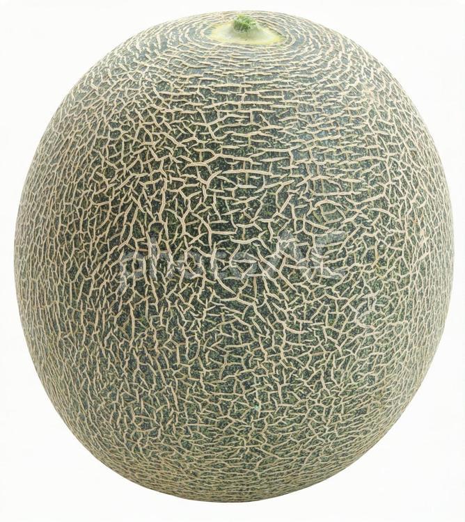 メロン（PSDは背景透過・切抜きパス入り） メロン,果物,夏の写真素材