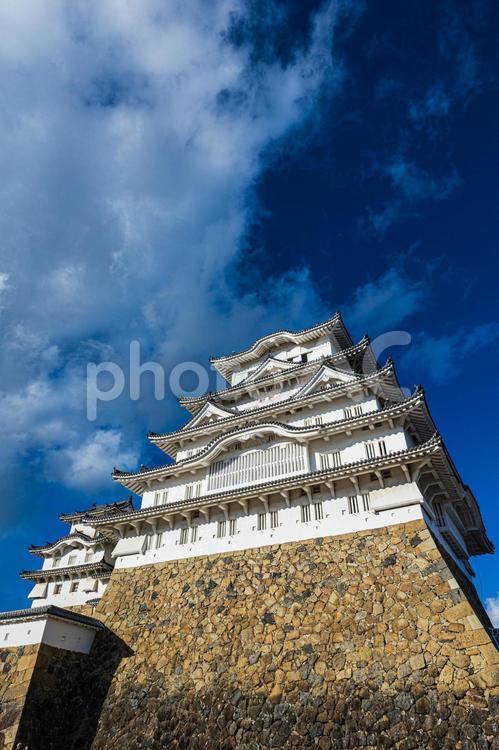 姫路城 姫路城,白鷺城,世界遺産の写真素材