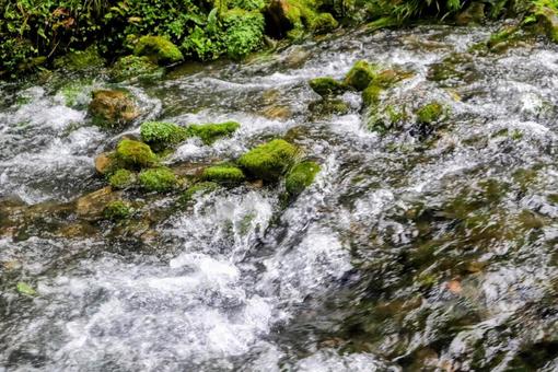 強い流れの写真