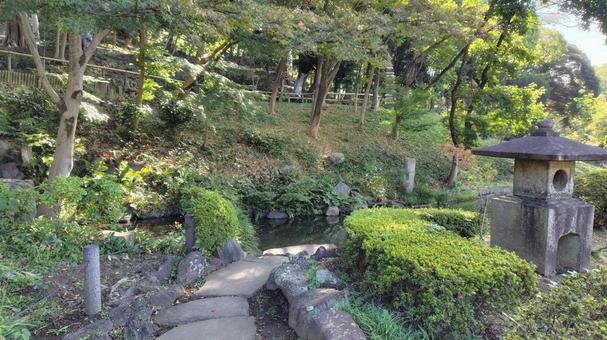 肥後細川庭園 日本庭園,庭園,和風庭園の写真素材