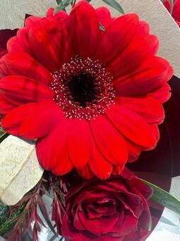 赤のブーケ ブーケ,花束,花の写真素材