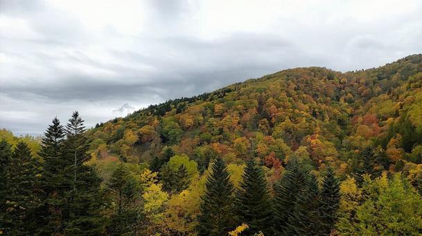 北海道のとある峠の景色の写真