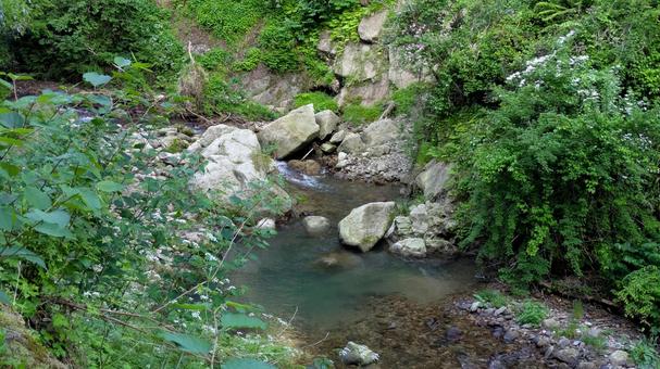 石川県大平沢の渓谷 石川県大平沢の渓谷 渓谷,谷川,大平沢の写真素材