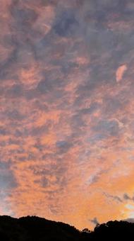 ピンクの雲の写真