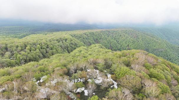 Photo, mountain, natural, woods, 