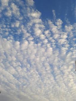 空 空の写真