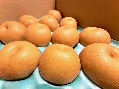 箱詰めされた梨 08 梨,なし,有りの実の写真素材