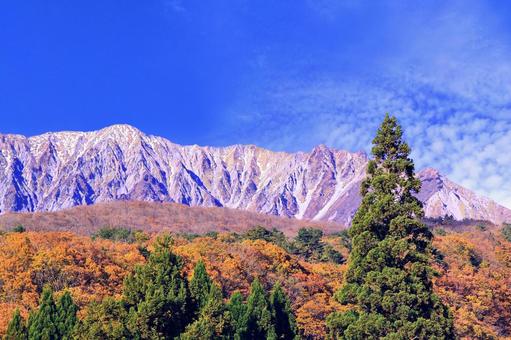秋の風景/鳥取大山南壁と紅葉・青空 秋の風景/鳥取大山南壁と紅葉・青空の写真