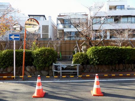2014年11月、工事が始まる前の段葛 2014年11月、工事が始まる前の段葛 段葛,若宮大路,鎌倉市の写真素材