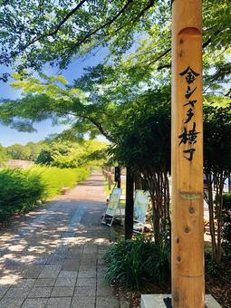 金シャチ横丁 金シャチ横丁の写真