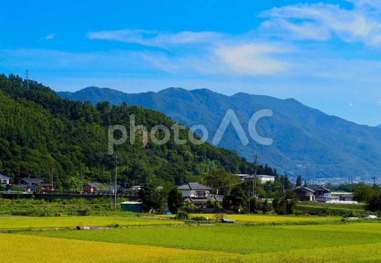 田舎の風景 田舎,田園,田んぼの写真素材