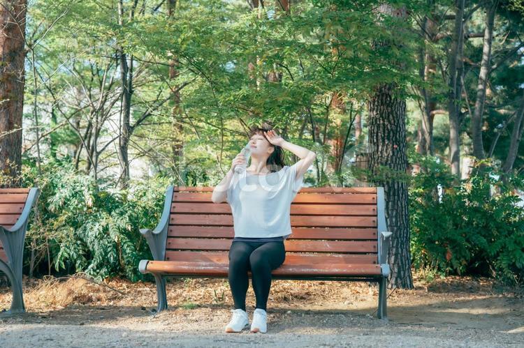 トレーニング中に休憩する女性（水を飲む・笑顔） 水分補給,汗,水の写真素材