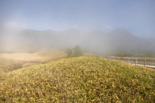 知床五湖の高架木道の霧の立ち込める景色 知床五湖の高架木道の霧の立ち込める景色の写真