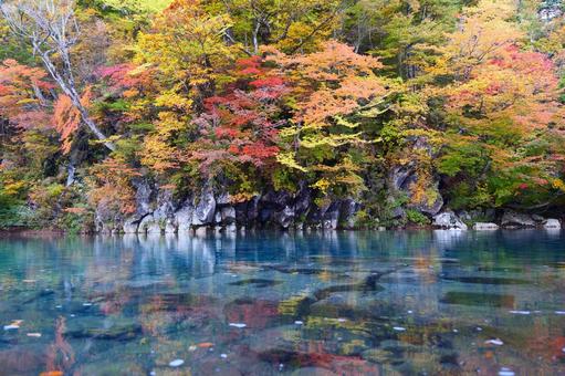 Autumn leaves at Houtai Falls, JPG Autumn leaves at Houtai Falls, JPG