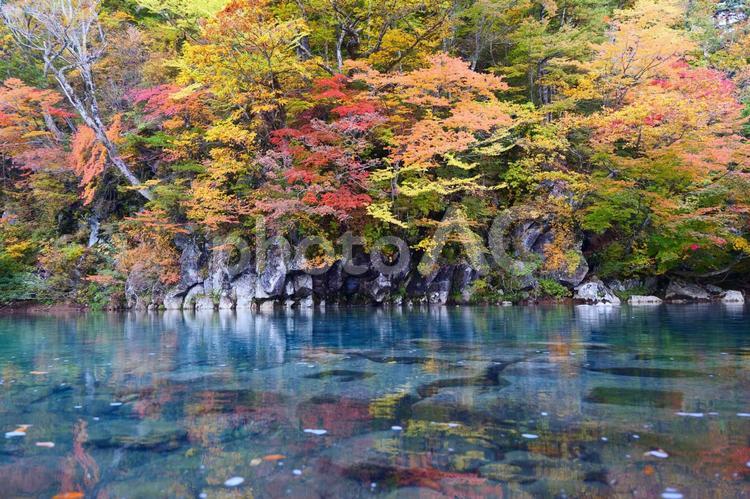 法体の滝の紅葉 紅葉,もみじ,紅葉狩りの写真素材
