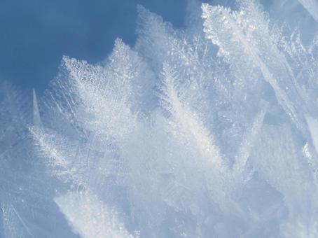 雪・霧氷 雪・霧氷の写真