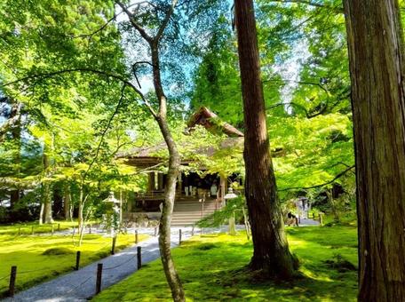 三千院 三千院 三千院,大原,往生極楽院の写真素材