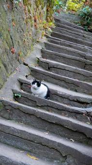 見下ろす君と秋の午後 見下ろす君と秋の午後の写真