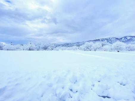 照片, 冬季, 風景, 雪山, 