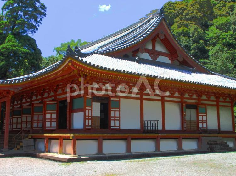 大阪府-観心寺-国宝-金堂-近景 観心寺,寺,檜尾山の写真素材