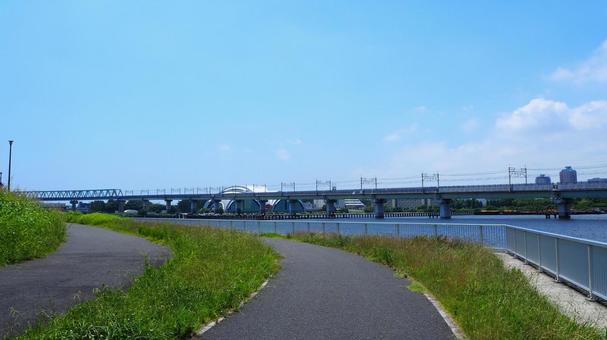 夏の夢の島公園・散歩道&曙運河(江東区) 夏の夢の島公園・散歩道&曙運河(江東区)の写真