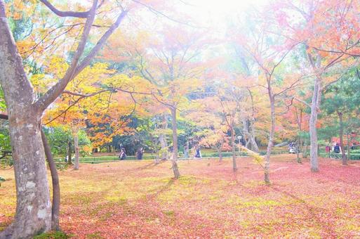 秋 秋の写真