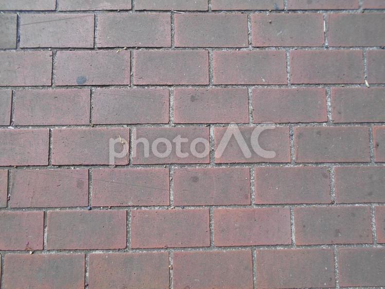 こもれびの森の散策路の赤レンガ 木洩れ日,散策路,散歩道の写真素材