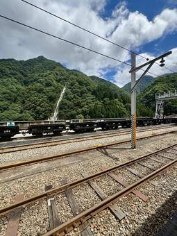 緑で心地よい 緑で心地よい 緑,心地,旅行の写真素材