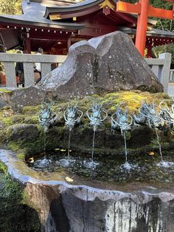 九頭龍神社の手水舎 箱根,神社,鳥居の写真素材