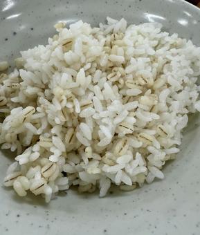 麦ご飯 麦ご飯 麦,ご飯,白米の写真素材