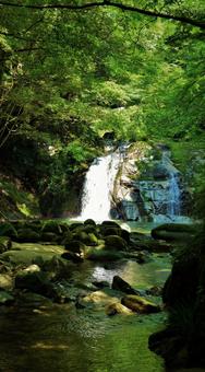 木々の中の滝 木々の中の滝の写真