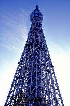 染在藍天的天空樹, JPG 染在藍天的天空樹, JPG