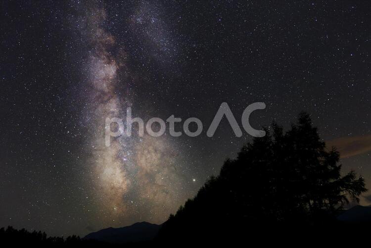 天の川と防風林 天の川,星,天の川銀河の写真素材