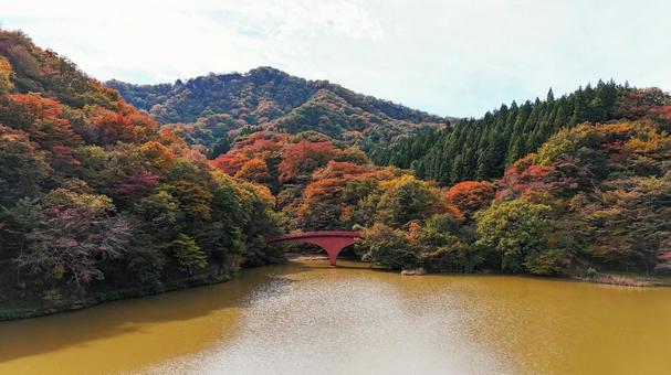 碓氷湖の紅葉 紅葉,山,赤の写真素材