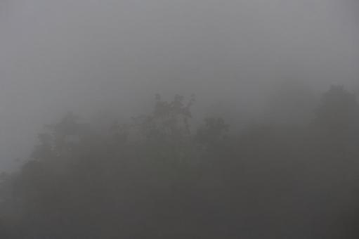 Photo, fog, mountain, woods, 