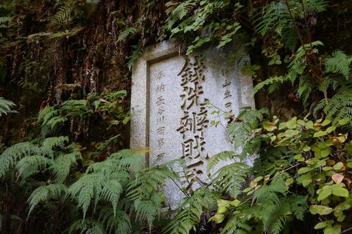 銭洗弁財天宇賀福神社 銭洗弁財天宇賀福神社 銭洗弁財天,宇賀福神社,鎌倉市の写真素材