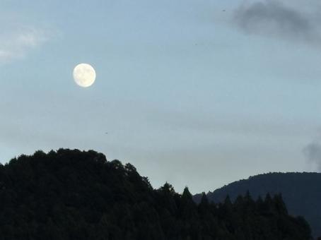 空にうかぶ月 風景,自然,月の写真素材