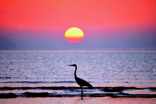 夕陽 夕陽の写真