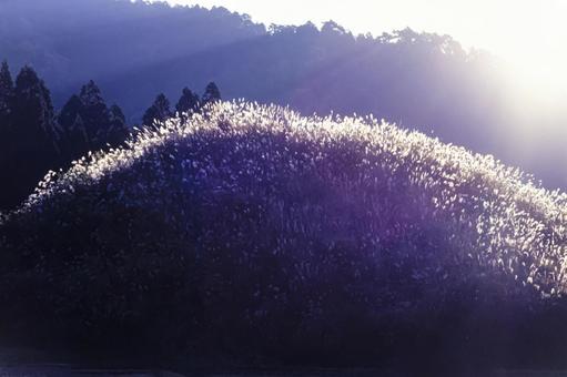 山間のススキ5 山間のススキ5の写真