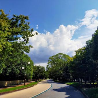 公園 公園の写真