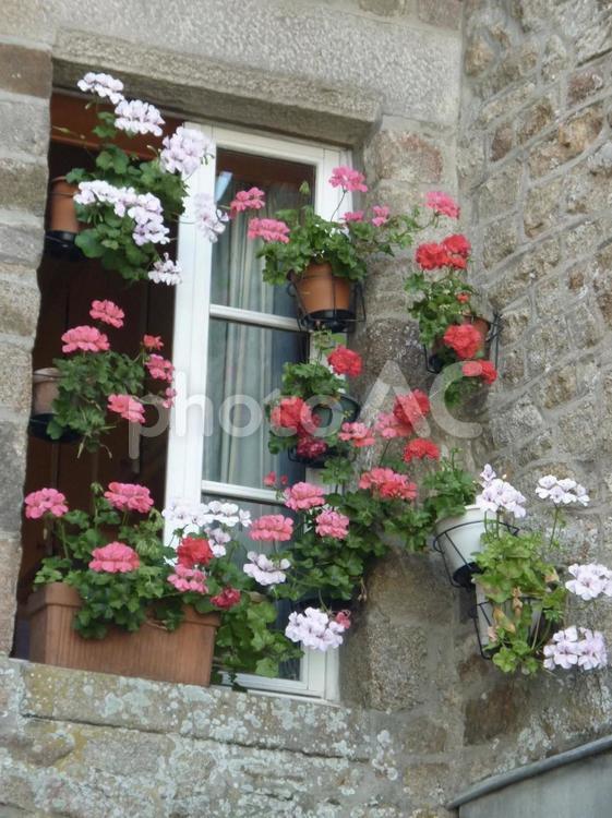 フランスの旅　窓辺の花たち 旅,旅行,海外旅行の写真素材