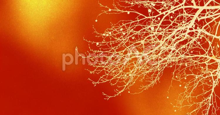 紅白の和風背景素材　枝 紅白,金,和風の写真素材