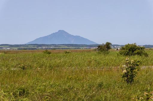 サロベツ湿原から望む利尻岳の雄大な姿 サロベツ湿原から望む利尻岳の雄大な姿 利尻岳,サロベツ湿原,青空の写真素材