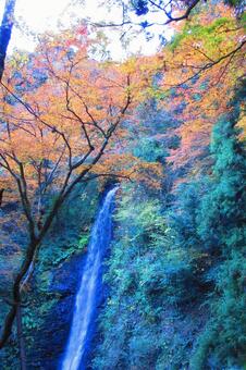 岐阜県-養老の滝と紅葉 養老の滝,滝,日本の滝百選の写真素材