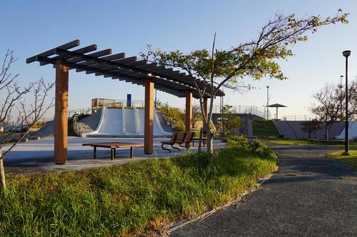 公園の風景 公園,樹木,空の写真素材