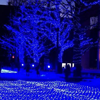 北海道赤レンガのイルミネーションの写真